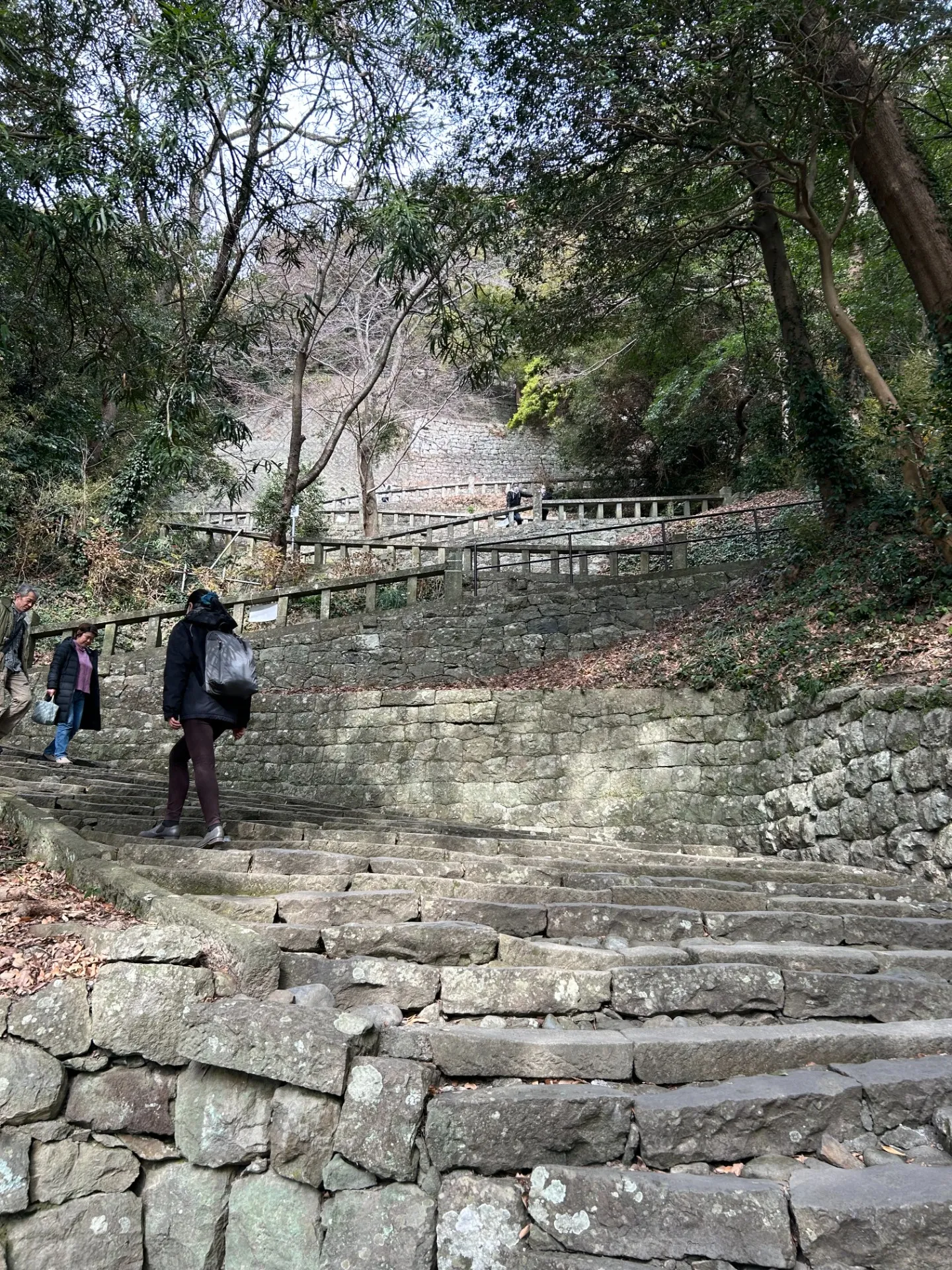 初めての四柱推命講座：運命の軌跡を読み解く第一歩